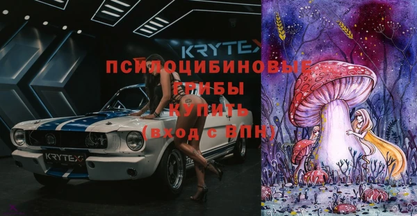 прущий лед Алзамай