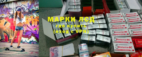 прущий лед Алзамай