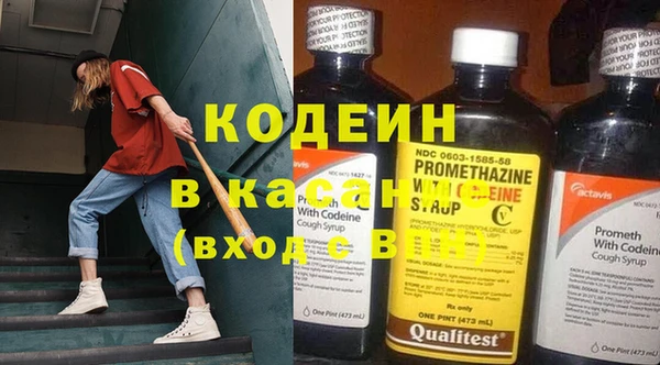 прущий лед Алзамай