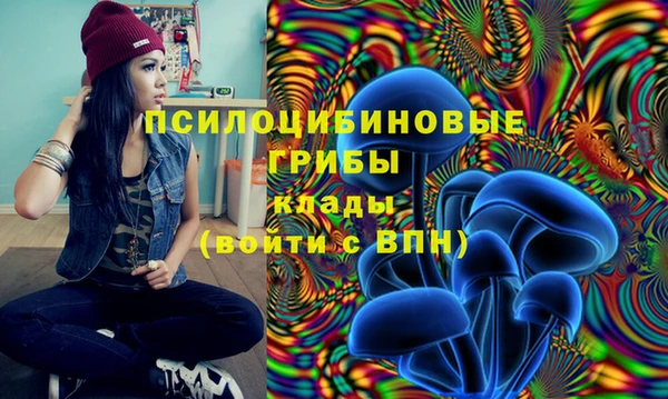 ALPHA-PVP Абинск