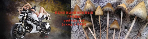 бошки Алексеевка