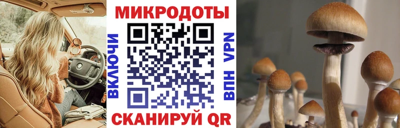 где купить   Почеп  Псилоцибиновые грибы MAGIC MUSHROOMS 